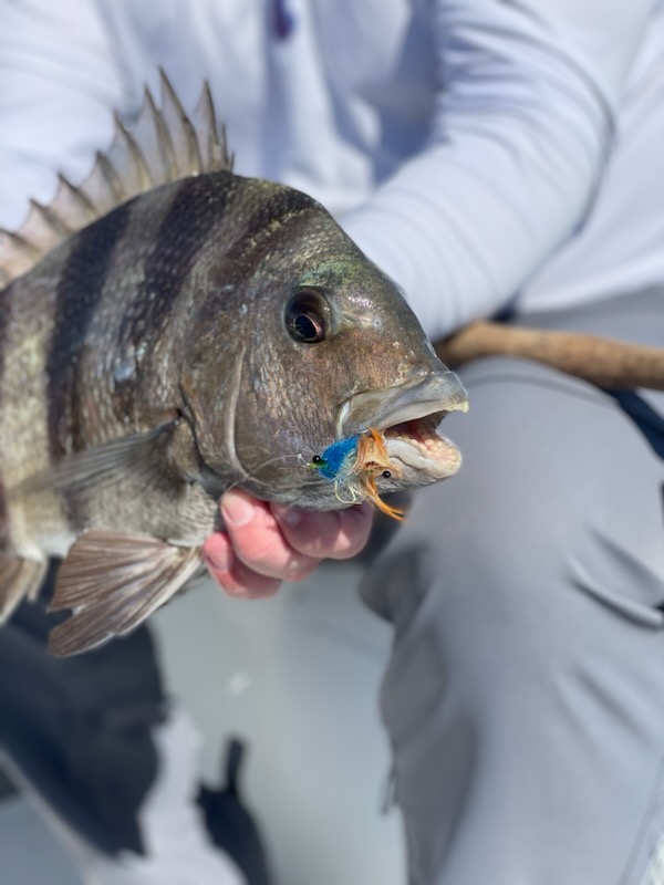 matagorda fly fishing redfish skiff